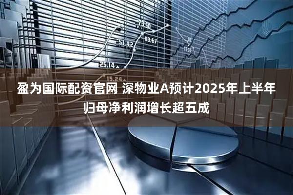 盈为国际配资官网 深物业A预计2025年上半年归母净利润增长超五成