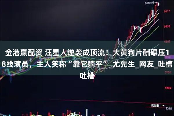 金港赢配资 汪星人逆袭成顶流！大黄狗片酬碾压18线演员，主人笑称“靠它躺平”_尤先生_网友_吐槽