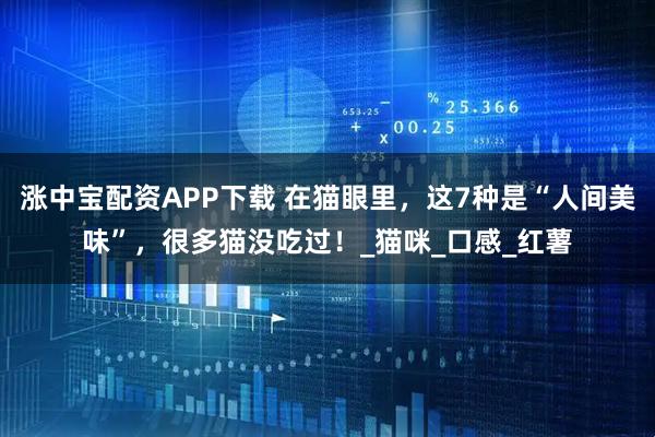 涨中宝配资APP下载 在猫眼里,这7种是“人间美味”,很多猫没吃过!_猫咪_口感_红薯