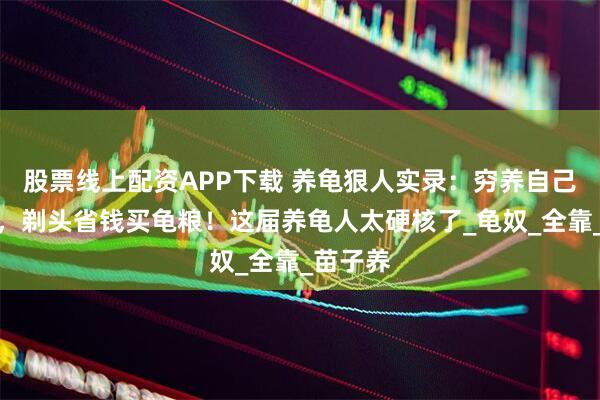 股票线上配资APP下载 养龟狠人实录：穷养自己富养龟，剃头省钱买龟粮！这届养龟人太硬核了_龟奴_全靠_苗子养